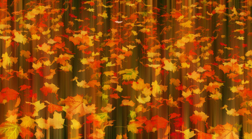 972131 (a): :2048x1134
